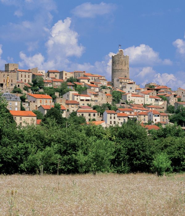 montpeyroux-vue-densemble